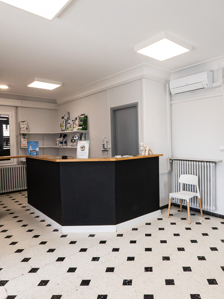 473583338 582768387856492 998954478 b9bc