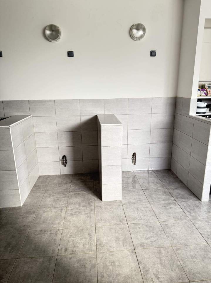 Cage hospit. chien min