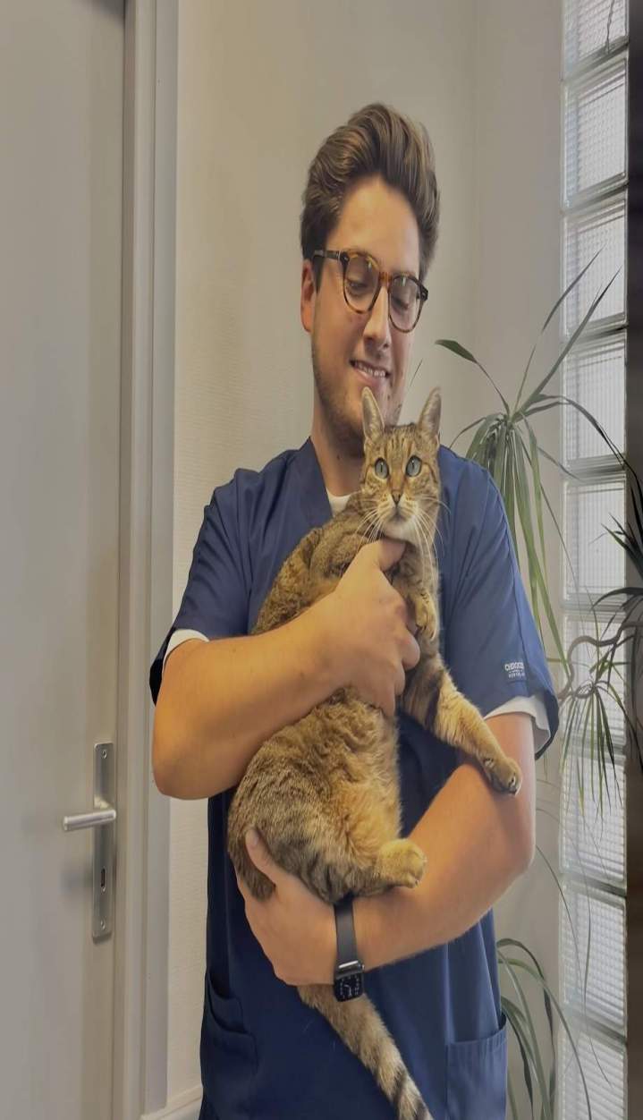 FullSizeRender