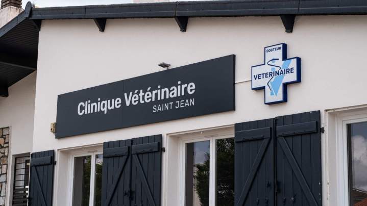 Vétérinaire pour chien Saint-Jean