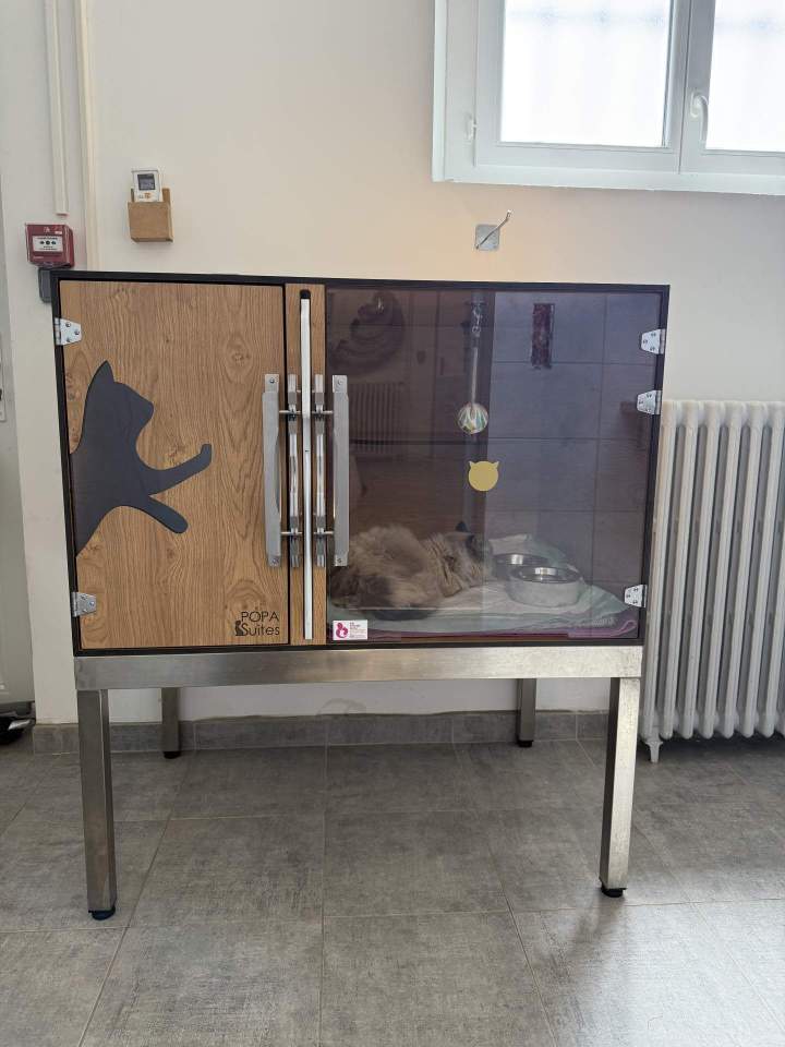 hospialisation chat 2